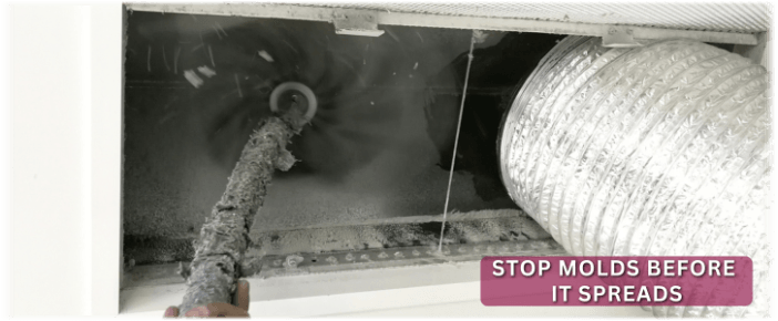 Air Duct Mold Removal in Hemet
