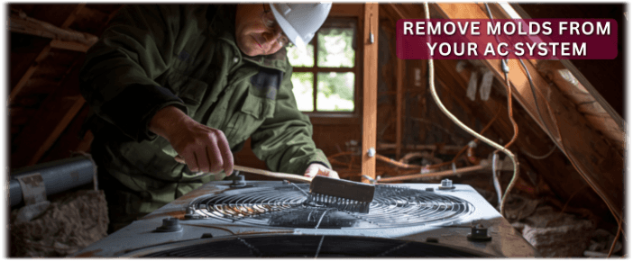 HVAC Mold Removal Hemet